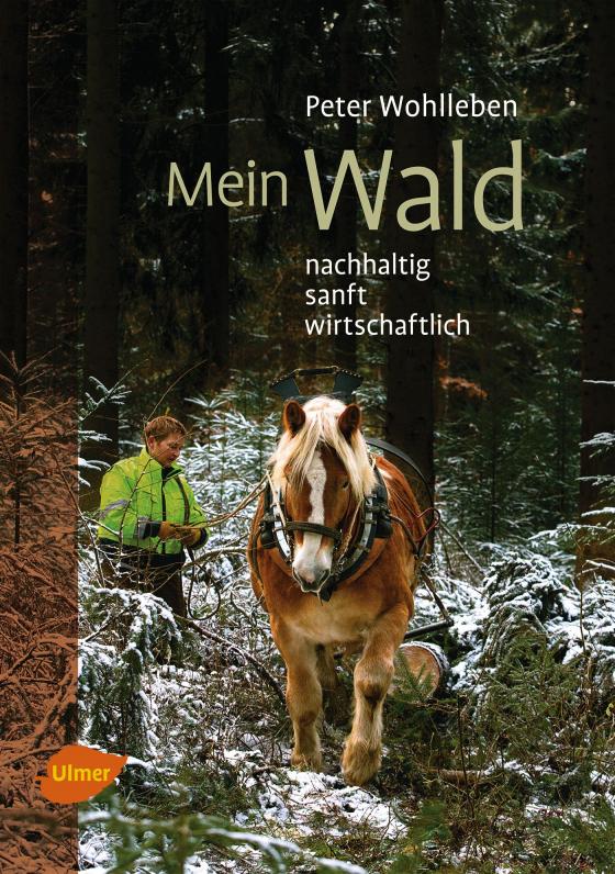 Cover-Bild Mein Wald