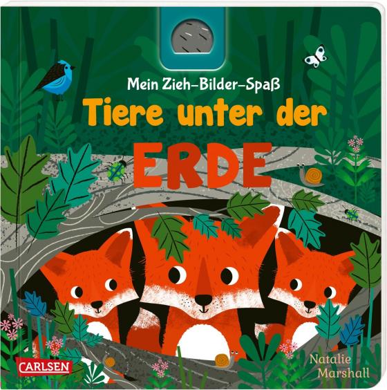 Cover-Bild Mein Zieh-Bilder-Spaß: Tiere unter der Erde