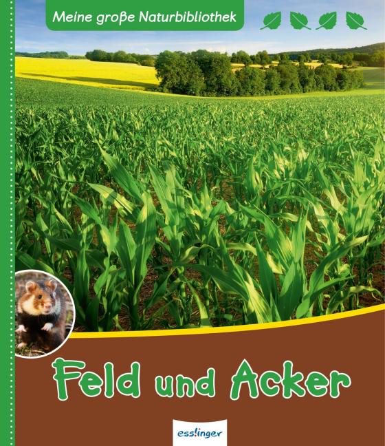 Cover-Bild Meine große Naturbibliothek: Feld und Acker