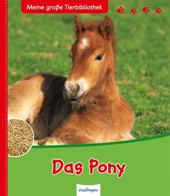 Cover-Bild Meine große Tierbibliothek: Das Pony