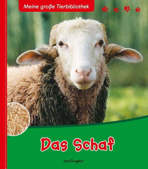 Cover-Bild Meine große Tierbibliothek: Das Schaf