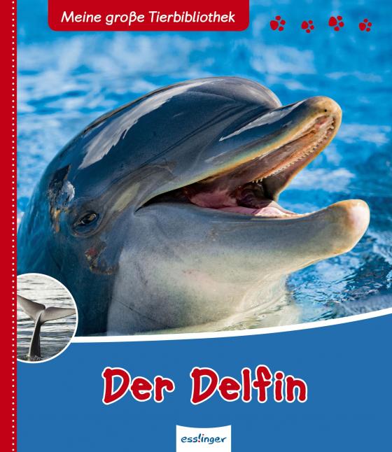 Cover-Bild Meine große Tierbibliothek: Der Delfin