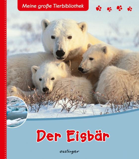 Cover-Bild Meine große Tierbibliothek: Der Eisbär