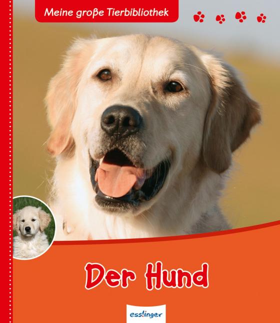 Cover-Bild Meine große Tierbibliothek: Der Hund