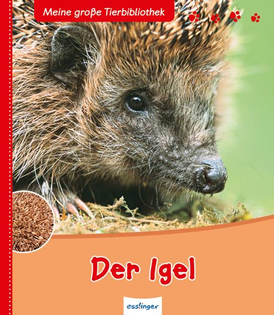 Cover-Bild Meine große Tierbibliothek: Der Igel