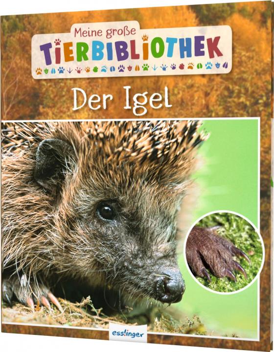 Cover-Bild Meine große Tierbibliothek: Der Igel