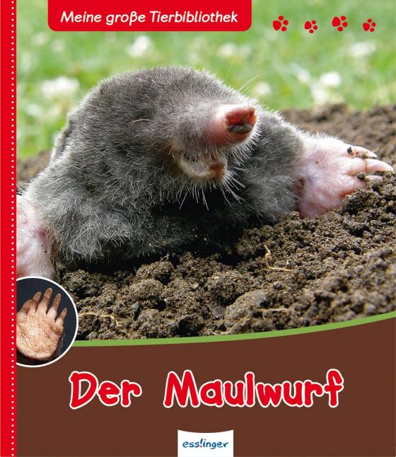 Cover-Bild Meine große Tierbibliothek: Der Maulwurf