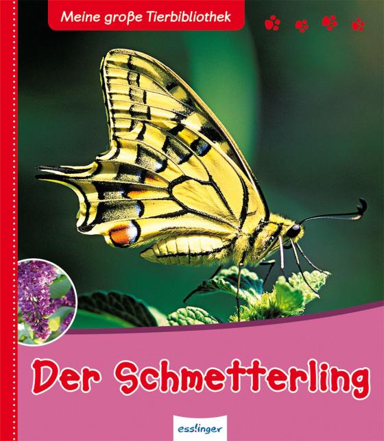 Cover-Bild Meine große Tierbibliothek: Der Schmetterling