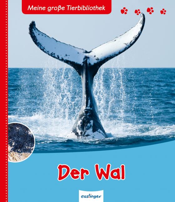 Cover-Bild Meine große Tierbibliothek: Der Wal