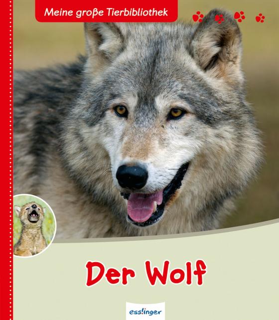 Cover-Bild Meine große Tierbibliothek: Der Wolf