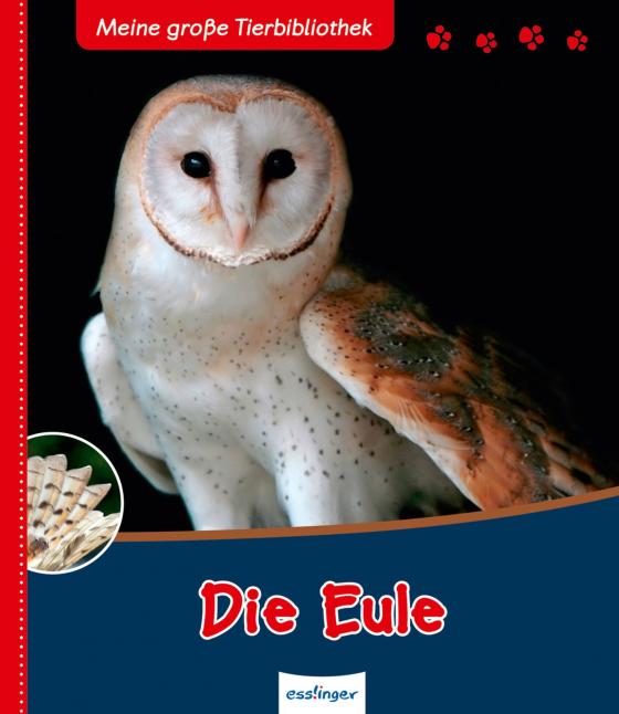 Cover-Bild Meine große Tierbibliothek: Die Eule