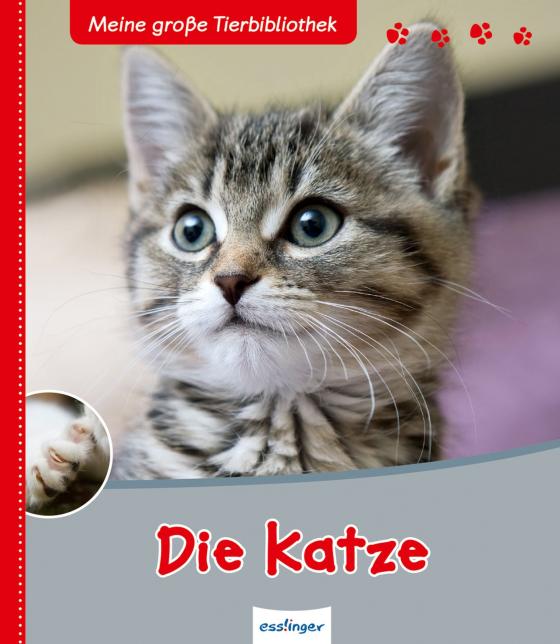 Cover-Bild Meine große Tierbibliothek: Die Katze