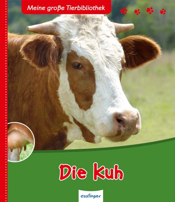 Cover-Bild Meine große Tierbibliothek: Die Kuh