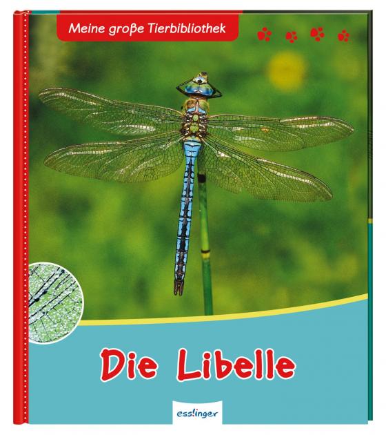 Cover-Bild Meine große Tierbibliothek: Die Libelle