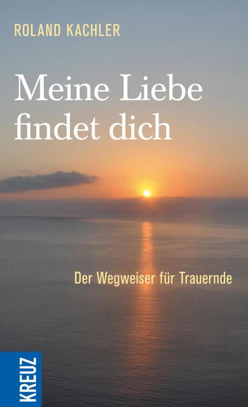 Cover-Bild Meine Liebe findet dich