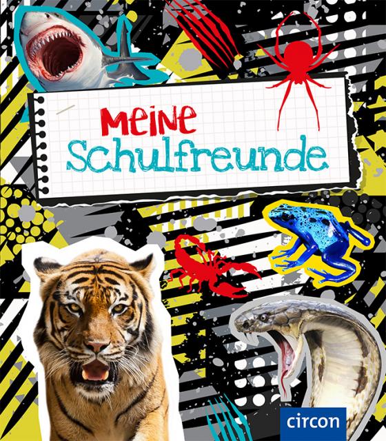 Cover-Bild Meine Schulfreunde