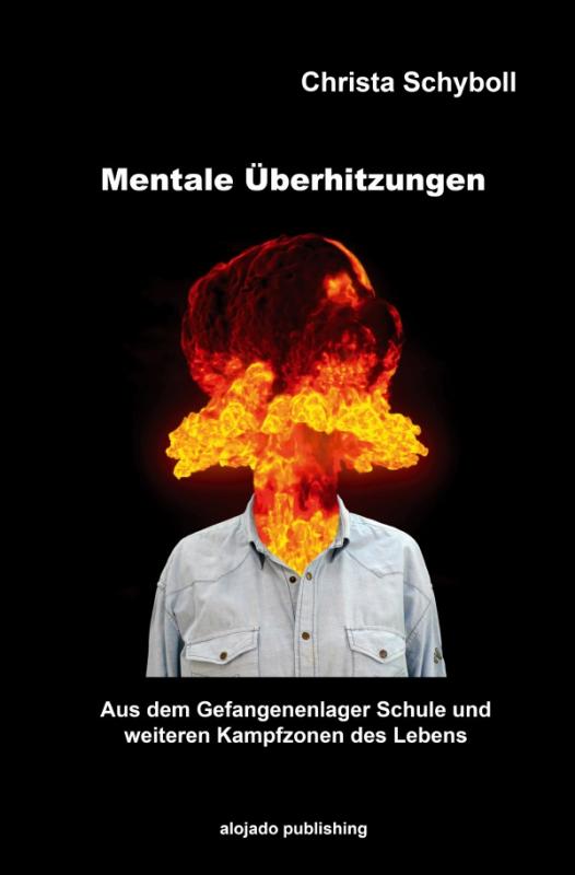 Cover-Bild Mentale Überhitzungen