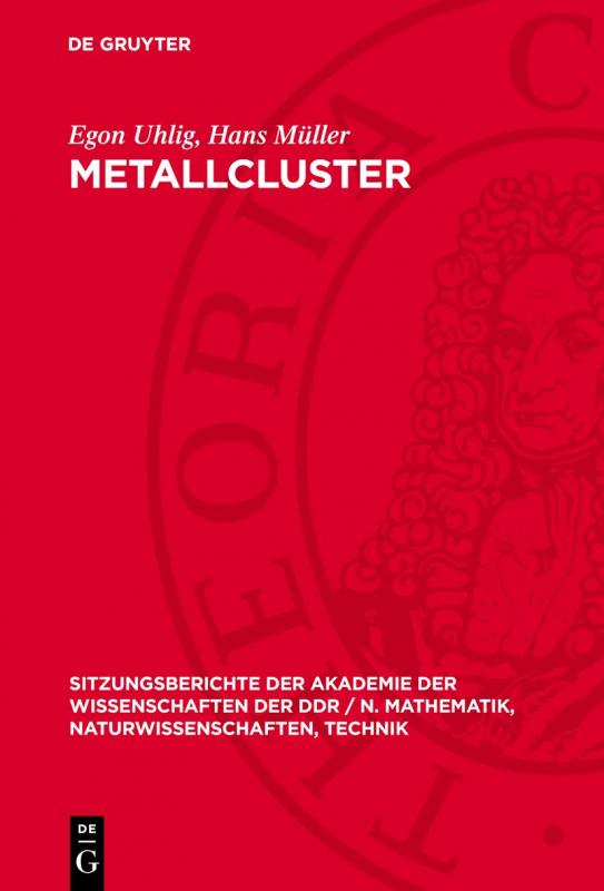 Cover-Bild Metallcluster