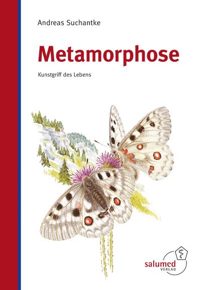 Cover-Bild Metamorphose