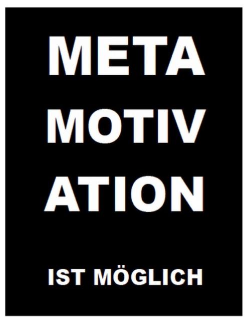 Cover-Bild Metamotivation ist möglich