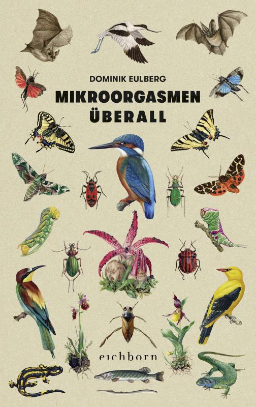 Cover-Bild Mikroorgasmen überall