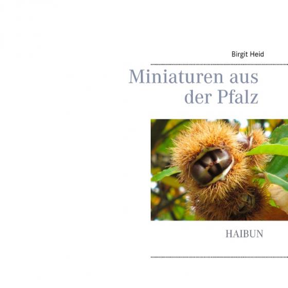 Cover-Bild Miniaturen aus der Pfalz