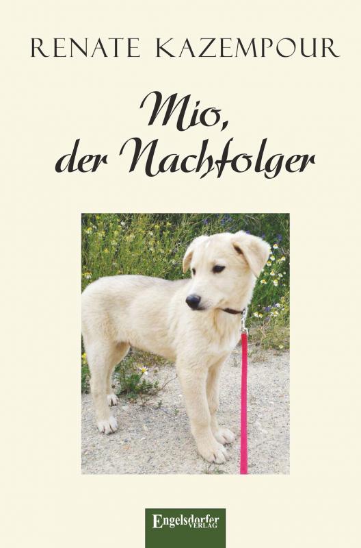 Cover-Bild Mio, der Nachfolger