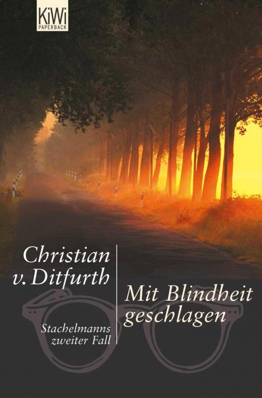 Cover-Bild Mit Blindheit geschlagen