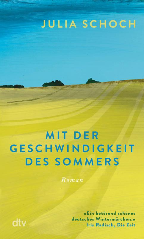 Cover-Bild Mit der Geschwindigkeit des Sommers