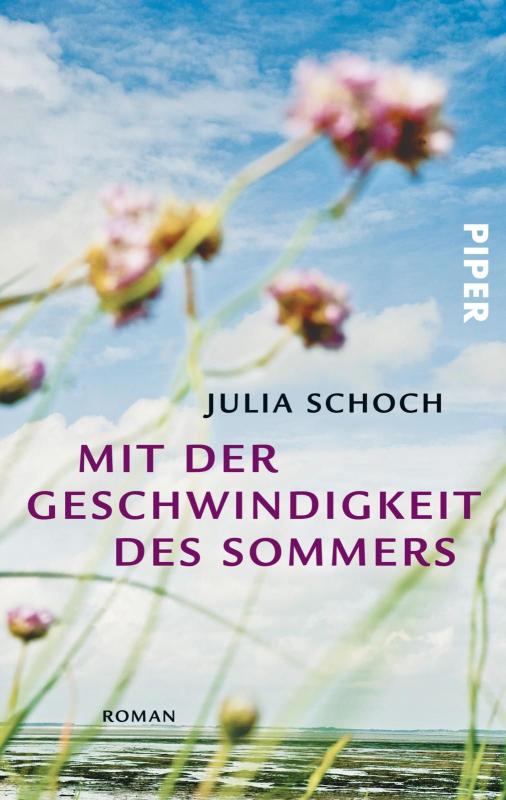 Cover-Bild Mit der Geschwindigkeit des Sommers