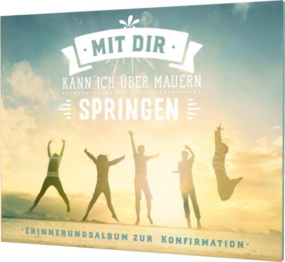 Cover-Bild Mit dir kann ich über Mauern springen