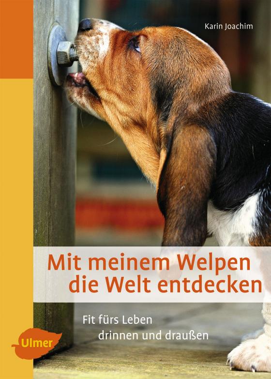 Cover-Bild Mit meinem Welpen die Welt entdecken