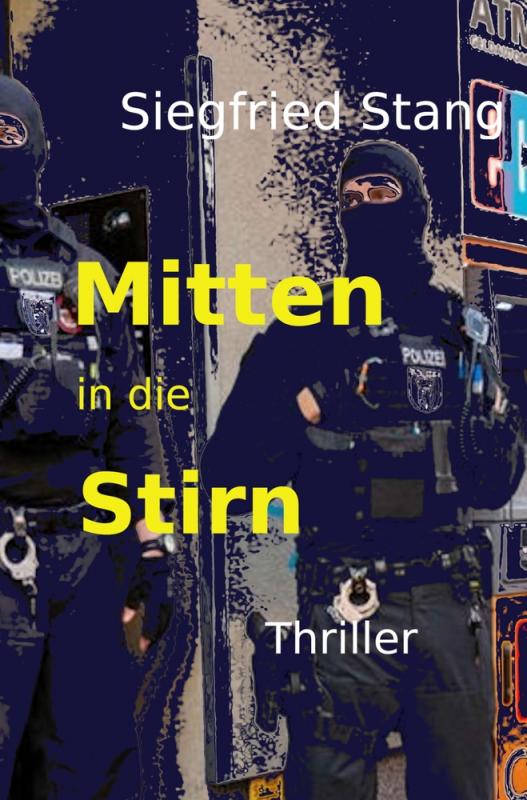 Cover-Bild Mitten in die Stirn