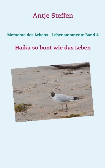 Cover-Bild Momente des Lebens - Lebensmomente Band 4