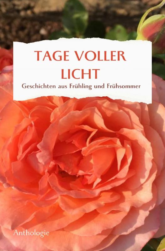 Cover-Bild Monatsgeschichten / TAGE VOLLER LICHT