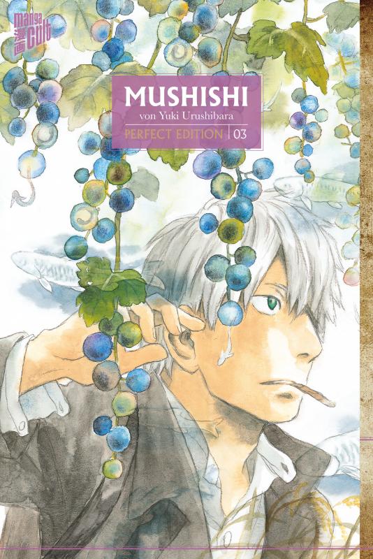 Cover-Bild Mushishi - Perfect Edition 3