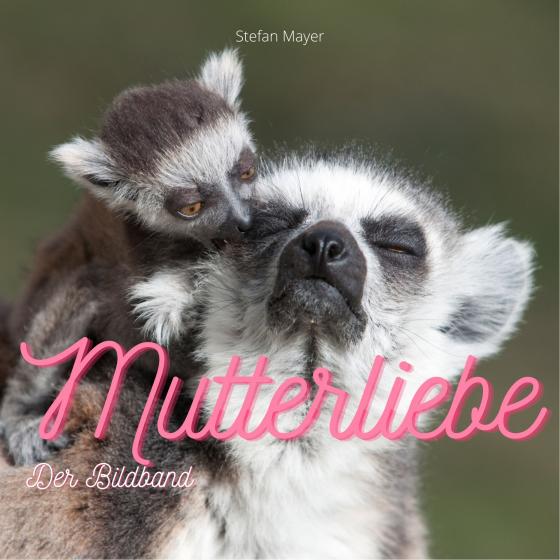 Cover-Bild Mutterliebe