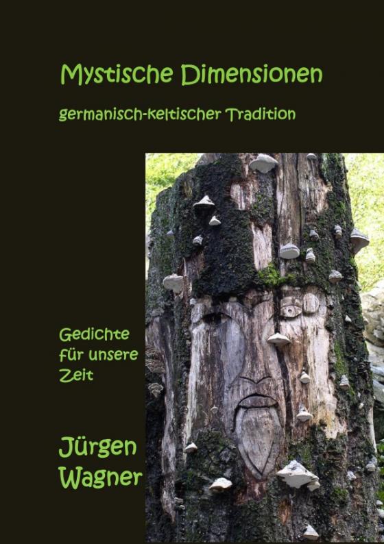 Cover-Bild Mystische Dimensionen germanisch-keltischer Tradition