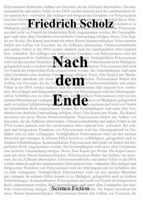 Cover-Bild Nach dem Ende