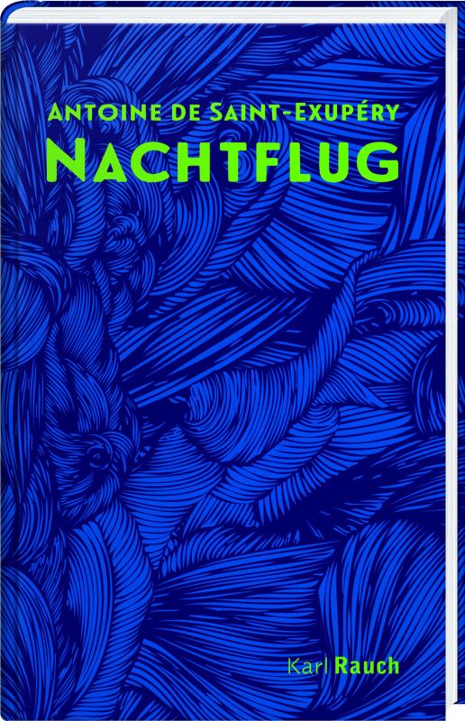 Cover-Bild Nachtflug