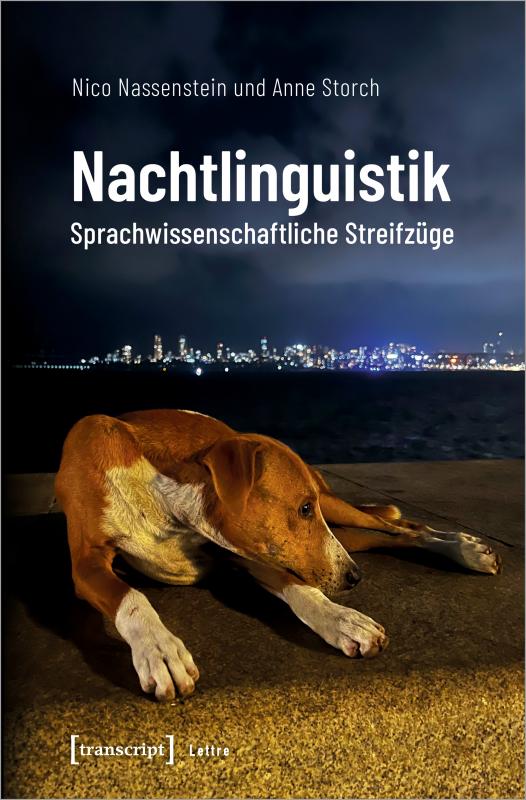 Cover-Bild Nachtlinguistik