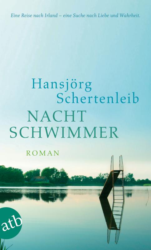 Cover-Bild Nachtschwimmer