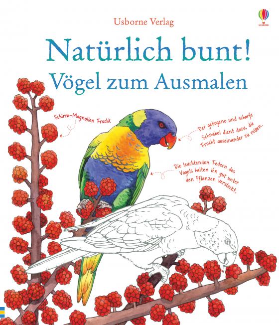 Cover-Bild Natürlich bunt! Vögel zum Ausmalen