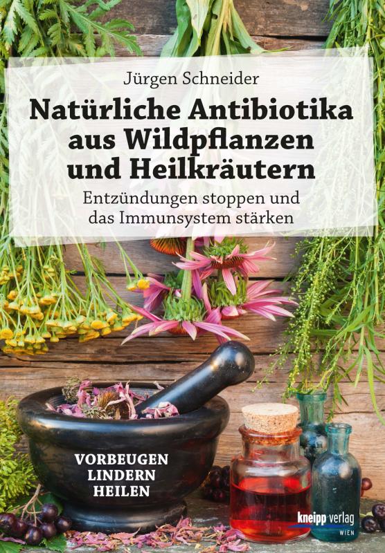 Cover-Bild Natürliche Antibiotika aus Wildpflanzen und Heilkräutern