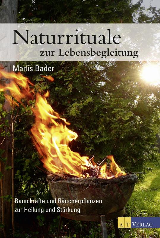 Cover-Bild Naturrituale zur Lebensbegleitung - eBook