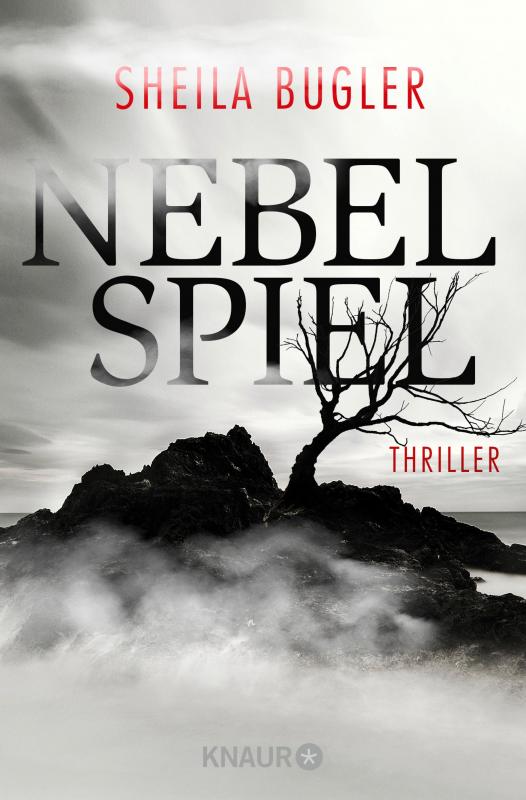 Cover-Bild Nebelspiel