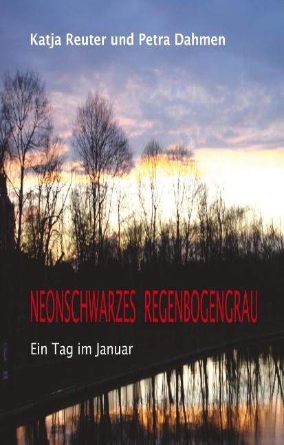 Cover-Bild Neonschwarzes Regenbogengrau