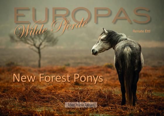 Cover-Bild New Forest Ponys