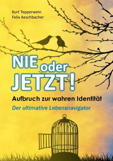 Cover-Bild Nie oder Jetzt! Aufbruch zur wahren Identität