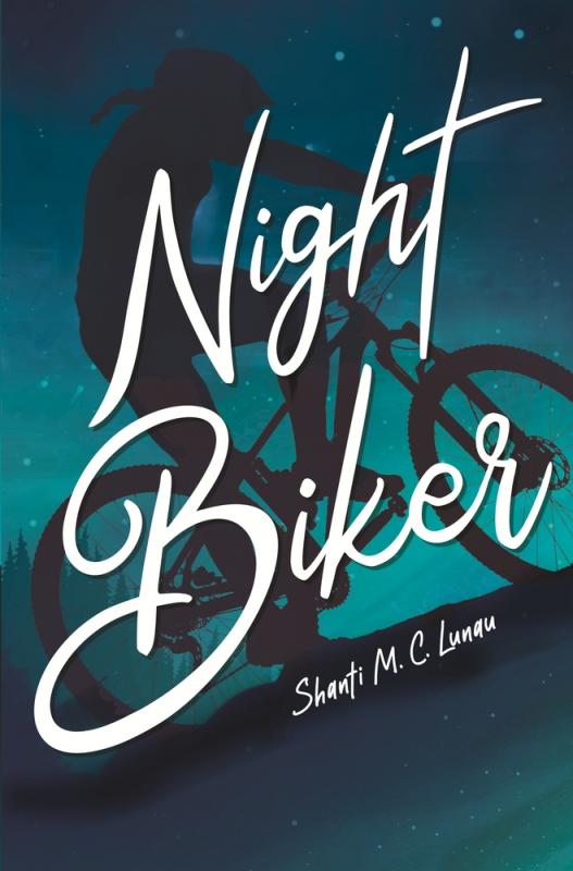 Cover-Bild Night Biker